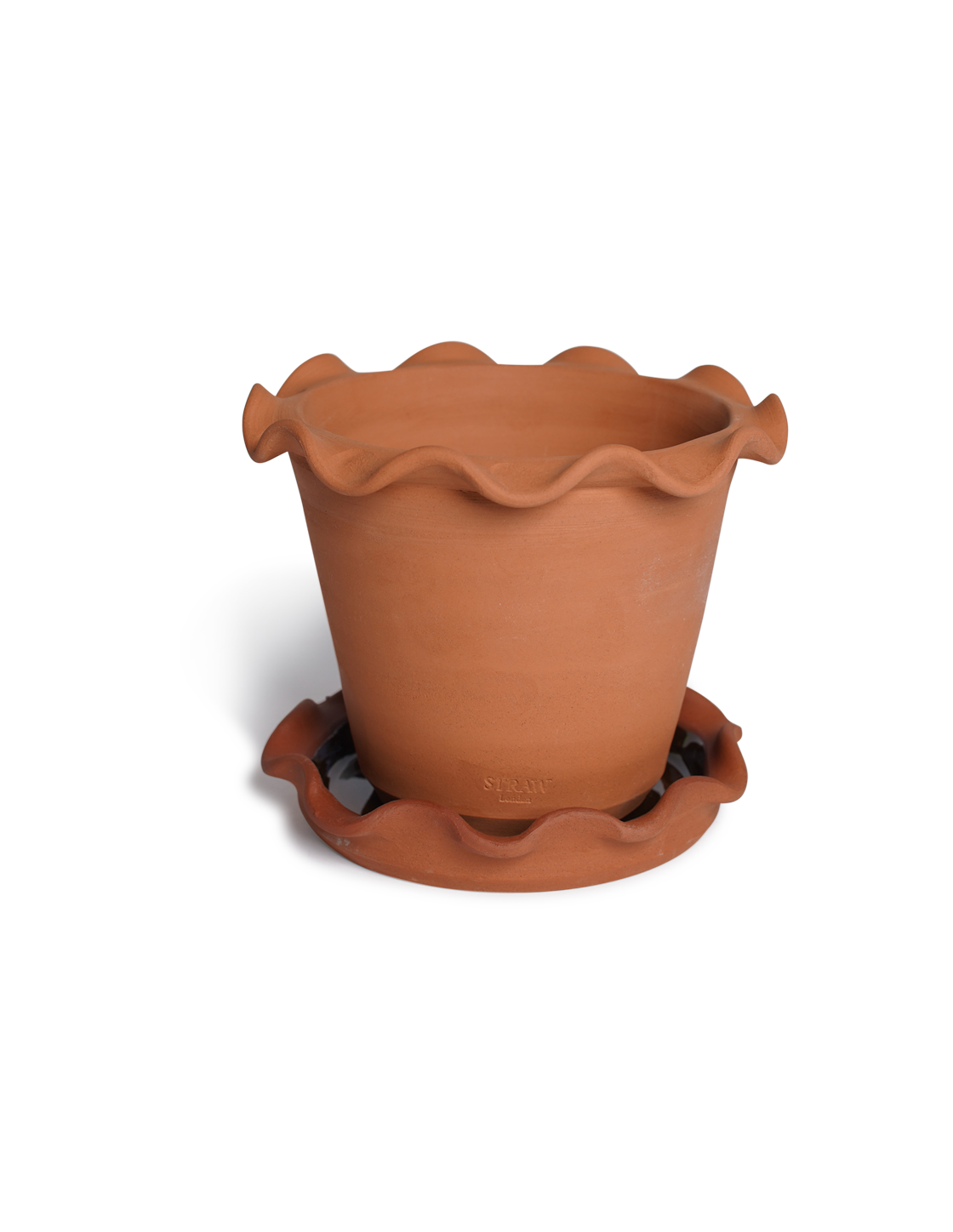 Wavy Edge Terracotta Pots