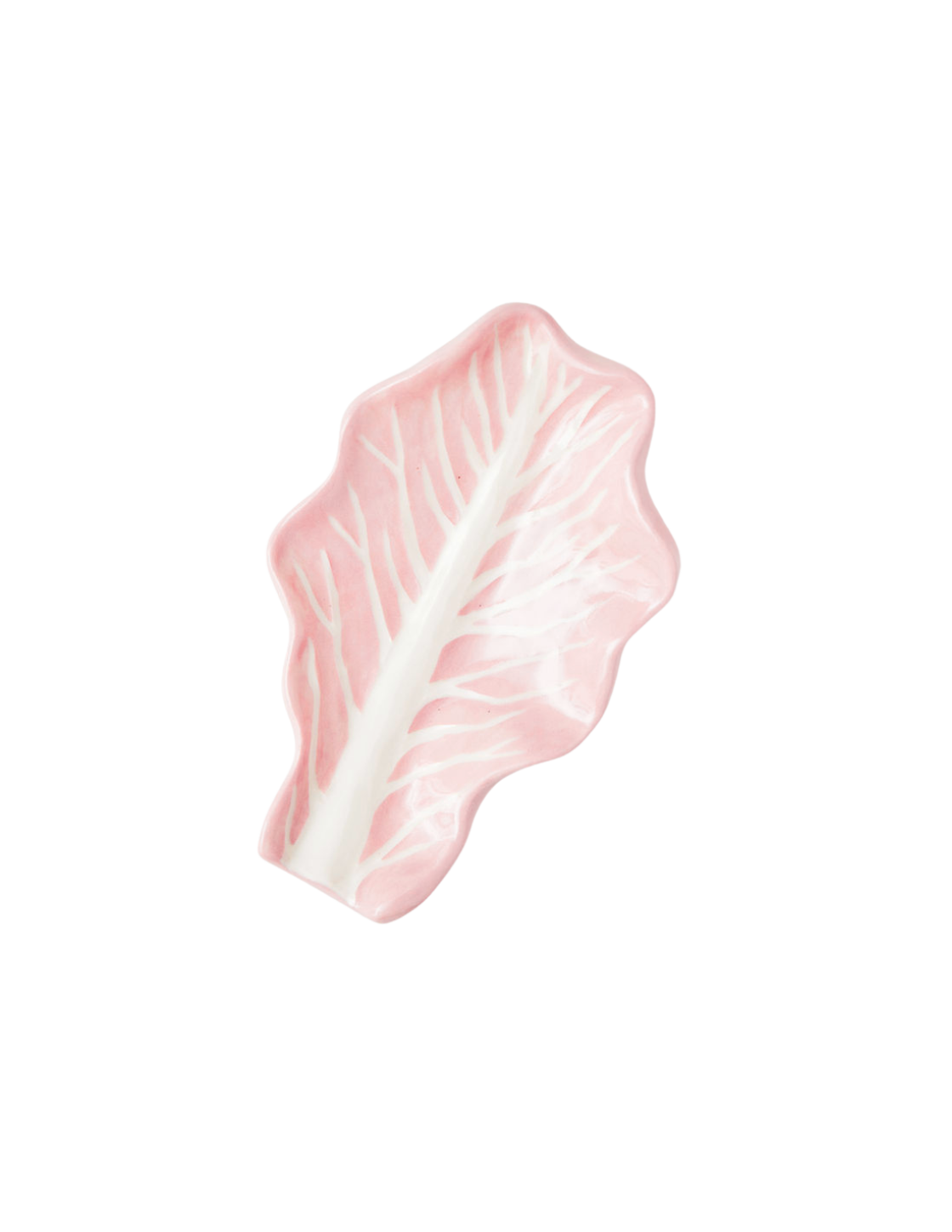 Radicchio Leaf Dish