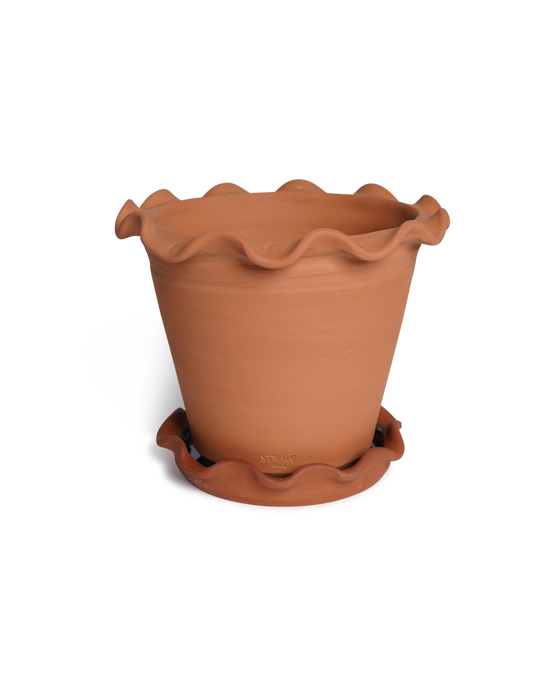 Wavy Edge Terracotta Pots
