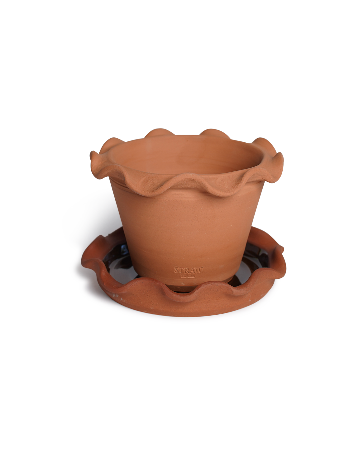 Wavy Edge Terracotta Pots